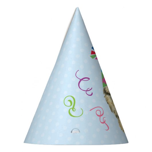 Pet van de partij bij het vogelpest feesthoedjes (Links)