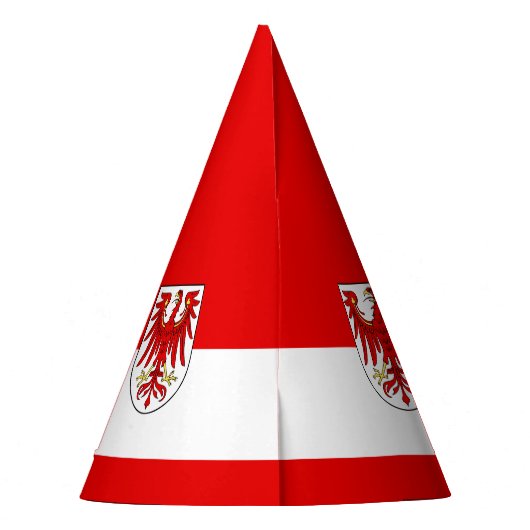 Pet van de partij Brandenburg Feesthoedjes (Achterkant)