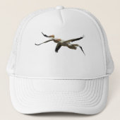 Pet van de vliegende pelicaan 2 (Voorkant)