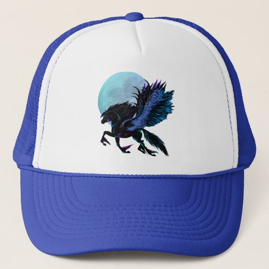 Pet van de zwarte Pegasus en de blauwe maan (Voorkant)