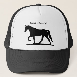 Pet van Gaited Horse