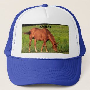 Pet van Kansas Red Horse Truckers