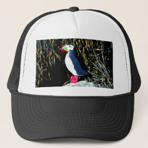 Pet van Puffin-liefhebbers