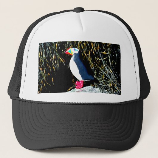 Pet van Puffin-liefhebbers (Voorkant)