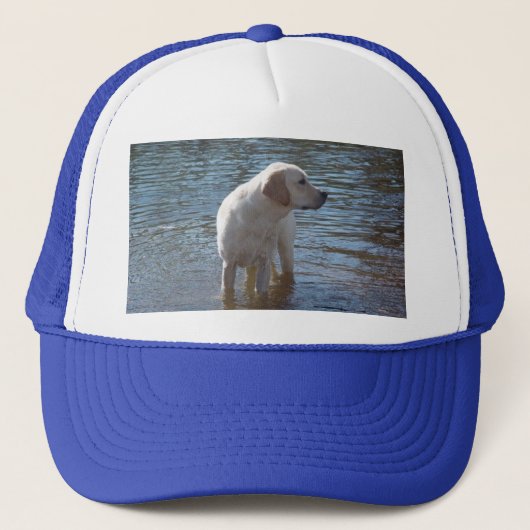 Pet voor de terugwinning van labrador bij het meer (Voorkant)