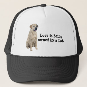 Pet voor labrador Retriever