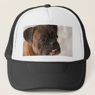 Pet voor patriottische boxer Dog