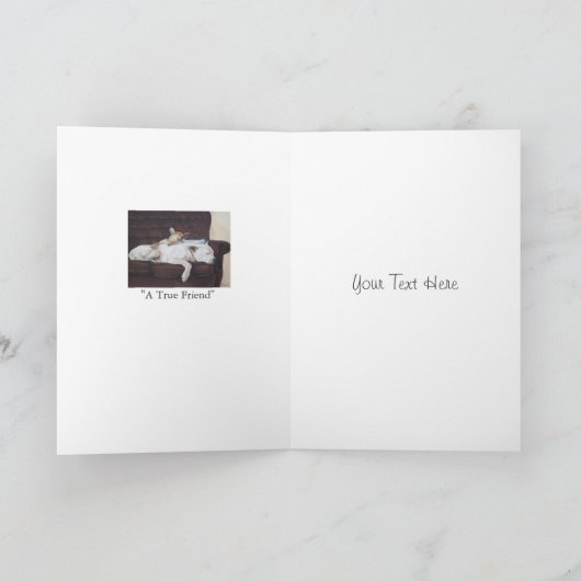 Pet vriend sympathie gedicht Origineel aanpasbaar Kaart (Binnen)