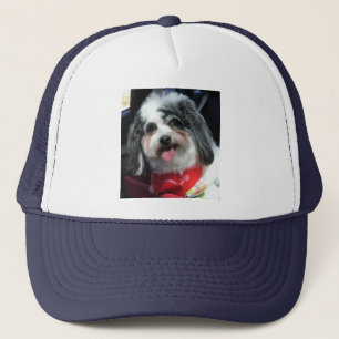 pet, vrouwen, mannen, hond, foto K-Cee Trucker Pet