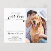 Pet Wedding Budget Dog sparen de Datacards (Voorkant)