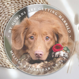 Pet Wedding Personalized Dog Photo Verloving Zandsteen Onderzetter