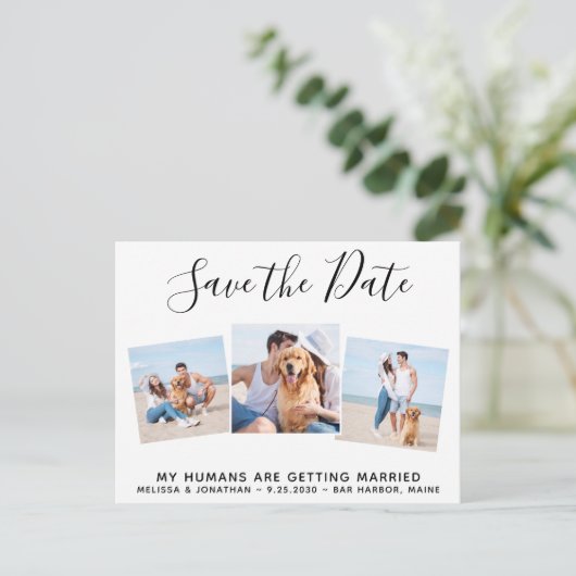 Pet Wedding Photo Collage Dog bewaart de datum Aankondigingskaart (Staand voorkant)