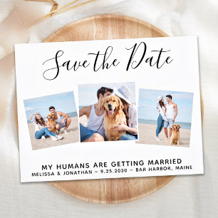 Pet Wedding Photo Collage Dog bewaart de datum Aankondigingskaart