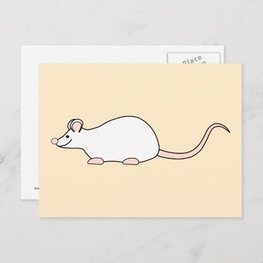 Pet White Mouse. Briefkaart (Voorkant / Achterkant)