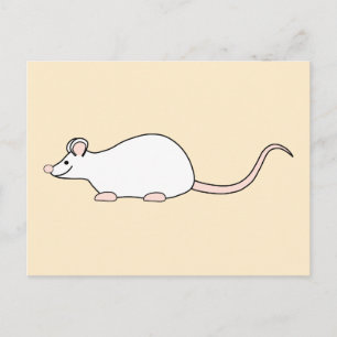 Pet White Mouse. Briefkaart