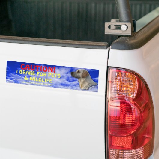 Pet & Wildlife Safety Bumpersticker (Op Truck)
