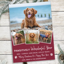 Pet Year in Review Red Dog Photo Collage