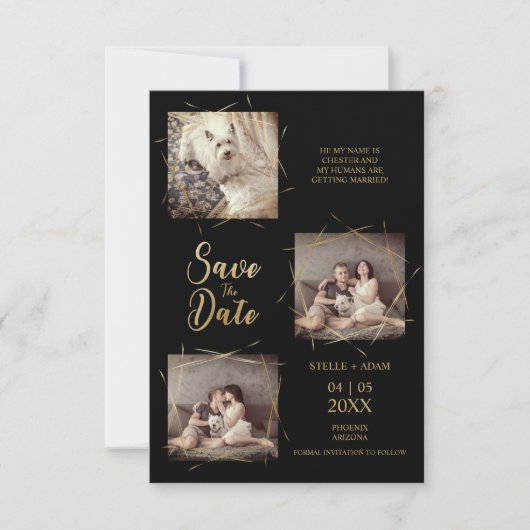 Pet Zwart Stijlvolle Moderne Kalligrafie 3-Foto (Voorkant)