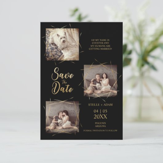 Pet Zwart Stijlvolle Moderne Kalligrafie 3-Foto (Staand voorkant)