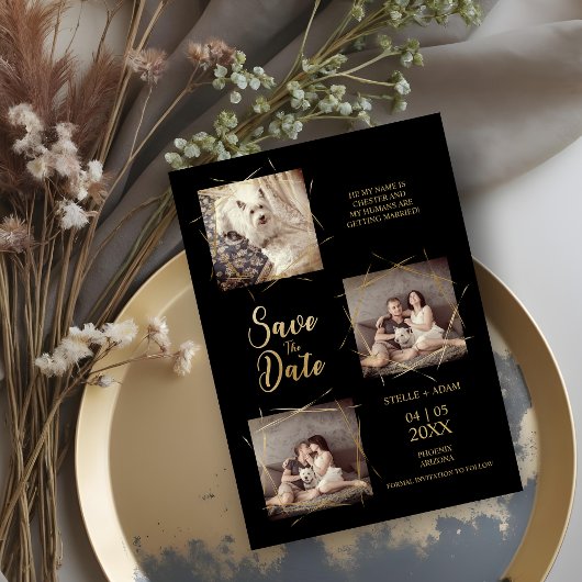 Pet Zwart Stijlvolle Moderne Kalligrafie 3-Foto