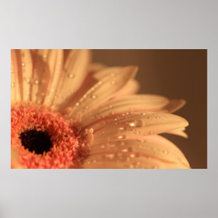 Petaaldruppels Poster