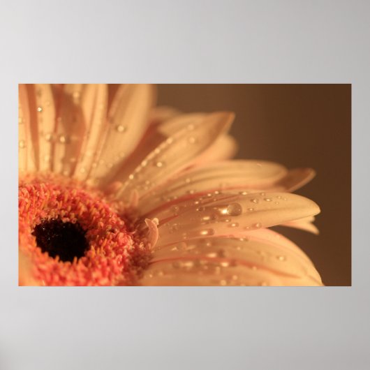 Petaaldruppels Poster (Voorkant)