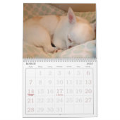 Petal-Anne Calendar Kalender (Mar 2027)