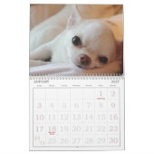 Petal-Anne Calendar Kalender (Jan 2027)