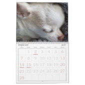 Petal-Anne Calendar Kalender (Feb 2027)