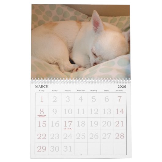 Petal-Anne Calendar Kalender (Mar 2026)