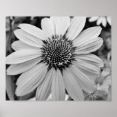 Petal Flower 10x8 Poster (Voorkant)