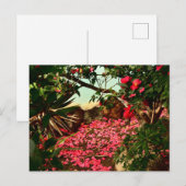 Petal Haven aan de rand van het water Briefkaart (Voorkant / Achterkant)