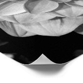 Petal Pattern Poster (Hoek)