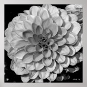 Petal Pattern Poster (Voorkant)