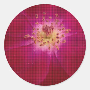 Petal Perfection: Geruit Roos Petal Pattern Art Ronde Sticker