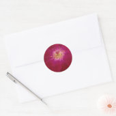 Petal Perfection: Geruit Roos Petal Pattern Art Ronde Sticker (Envelop)