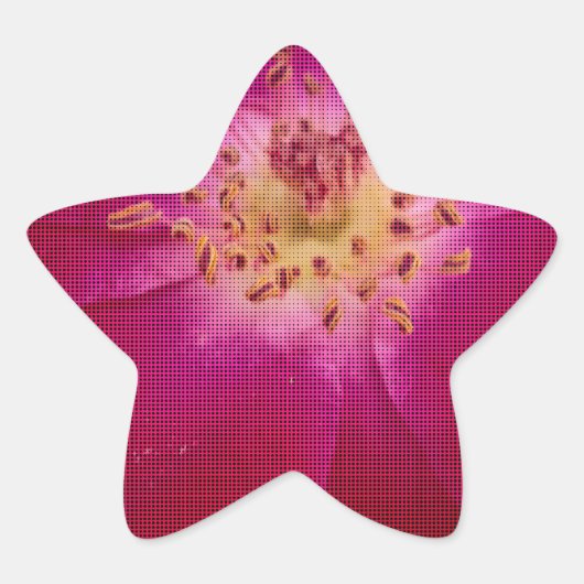 Petal Perfection: Geruit Roos Petal Pattern Art Ster Sticker (Voorkant)