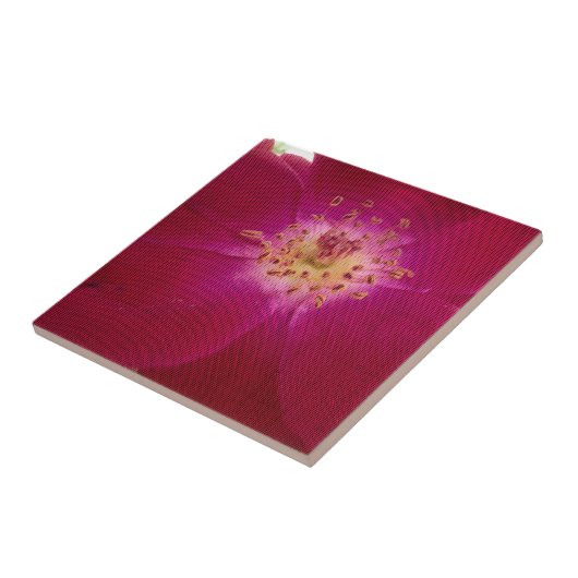 Petal Perfection: Geruit Roos Petal Pattern Art Tegeltje (Zijkant)