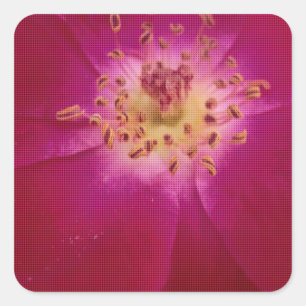 Petal Perfection: Geruit Roos Petal Pattern Art Vierkante Sticker