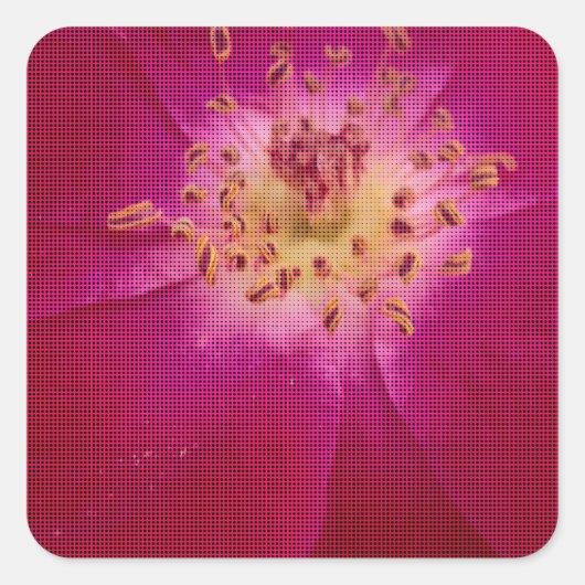 Petal Perfection: Geruit Roos Petal Pattern Art Vierkante Sticker (Voorkant)