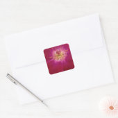 Petal Perfection: Geruit Roos Petal Pattern Art Vierkante Sticker (Envelop)
