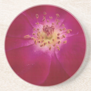 Petal Perfection: Geruit Roos Petal Pattern Art Zandsteen Onderzetter