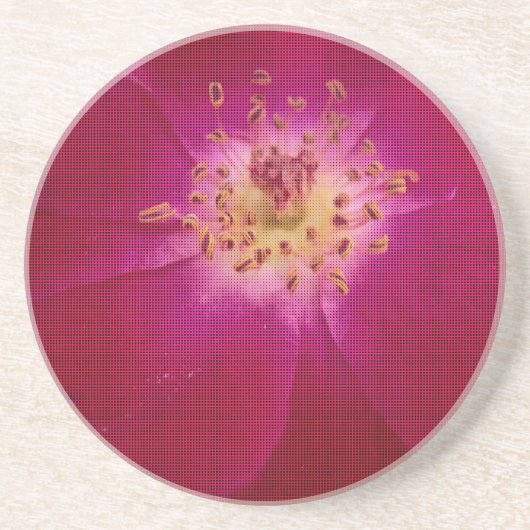 Petal Perfection: Geruit Roos Petal Pattern Art Zandsteen Onderzetter (Voorkant)