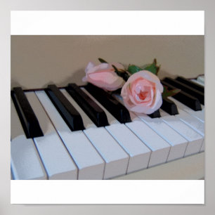 Petal Pink Keys Poster