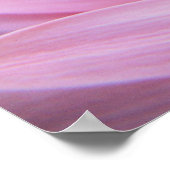 Petal roze Poster (Hoek)