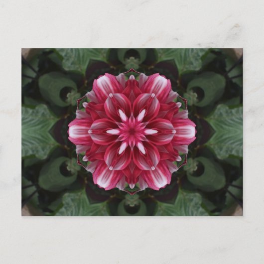 Petal Symphony Briefkaart (Voorkant)