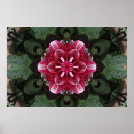 Petal Symphony Poster (Voorkant)