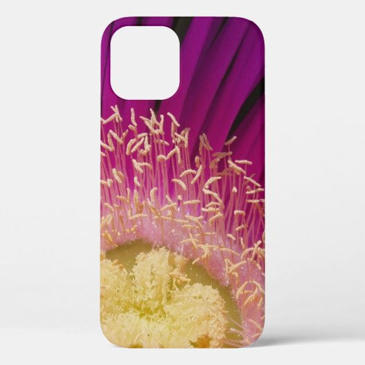 Petalen en Pollen Case-Mate iPhone Case (Achterkant)