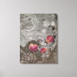 Petals Ashore Canvas Afdruk