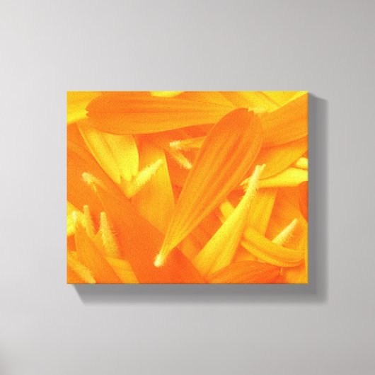 Petals Canvas afdrukken (Voorkant)